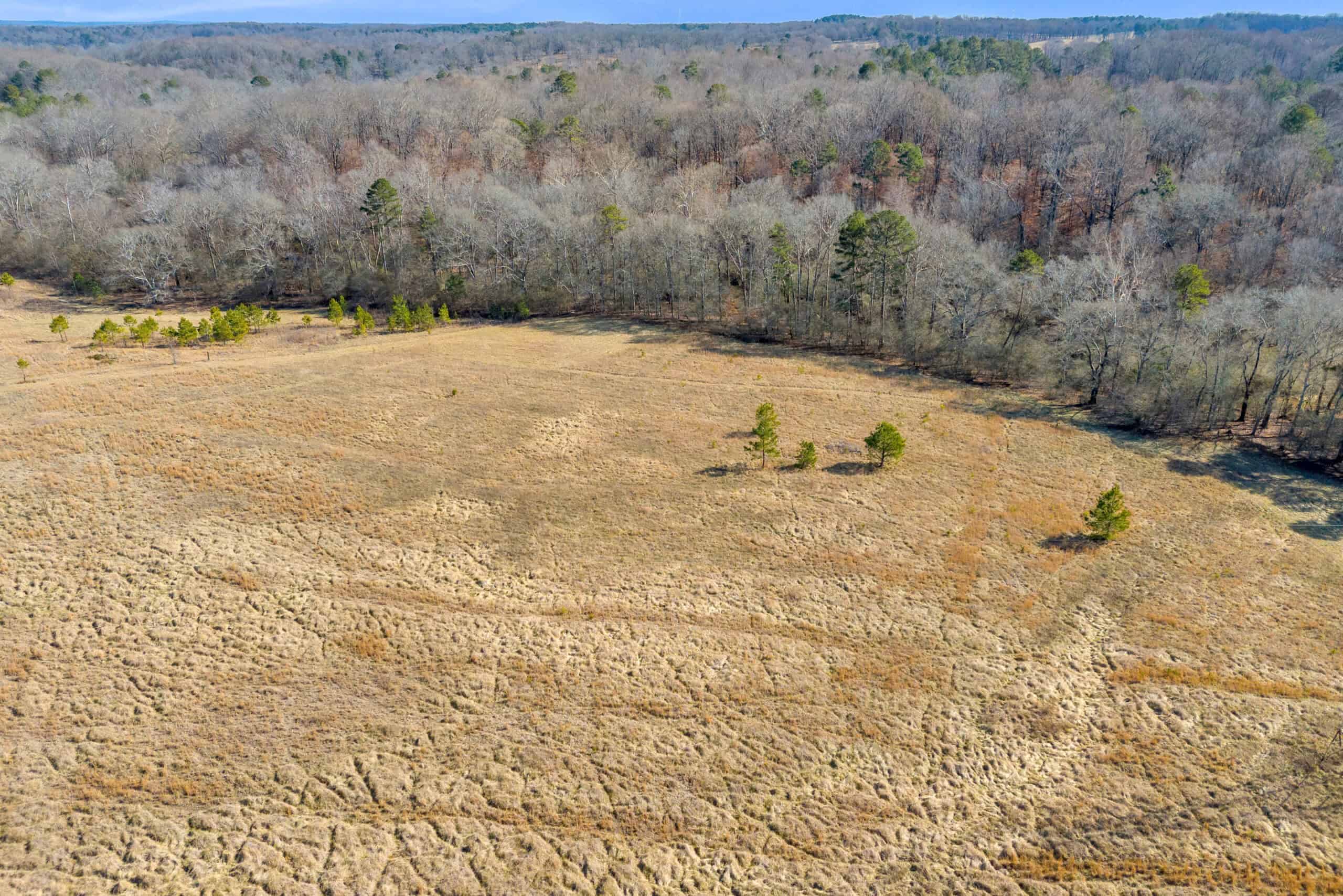 49+/- Acres of Beautiful Pasture with Two Ponds, Barn, and Creek Frontage.