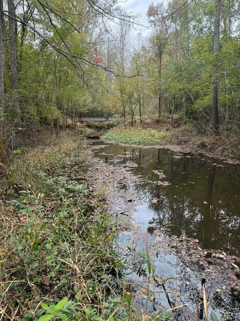 Land on the Tangipahoa River in Pike County, MS