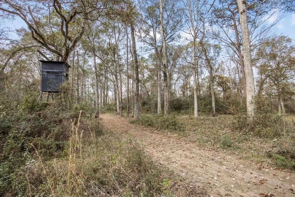 High Fence Hunting, 3 Lodges, 6 Cabins, Acadia Parish, LA