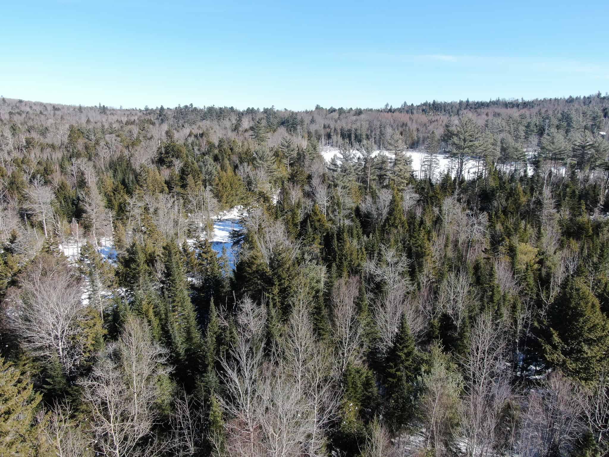 32 Acres with Off-Grid Cabin