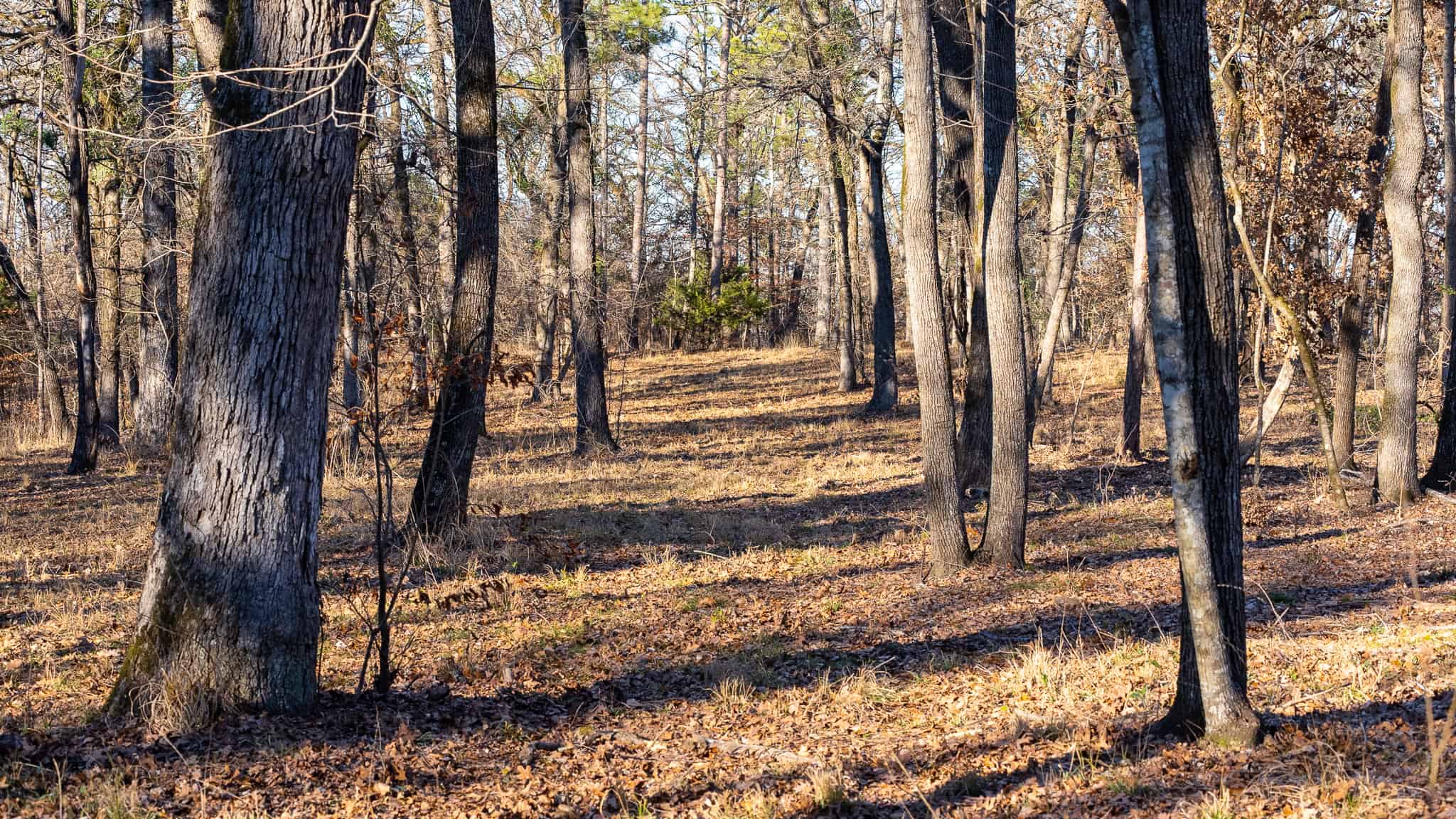 East Texas Hunting Land for sale Sabine River Frontage Gladewater TX