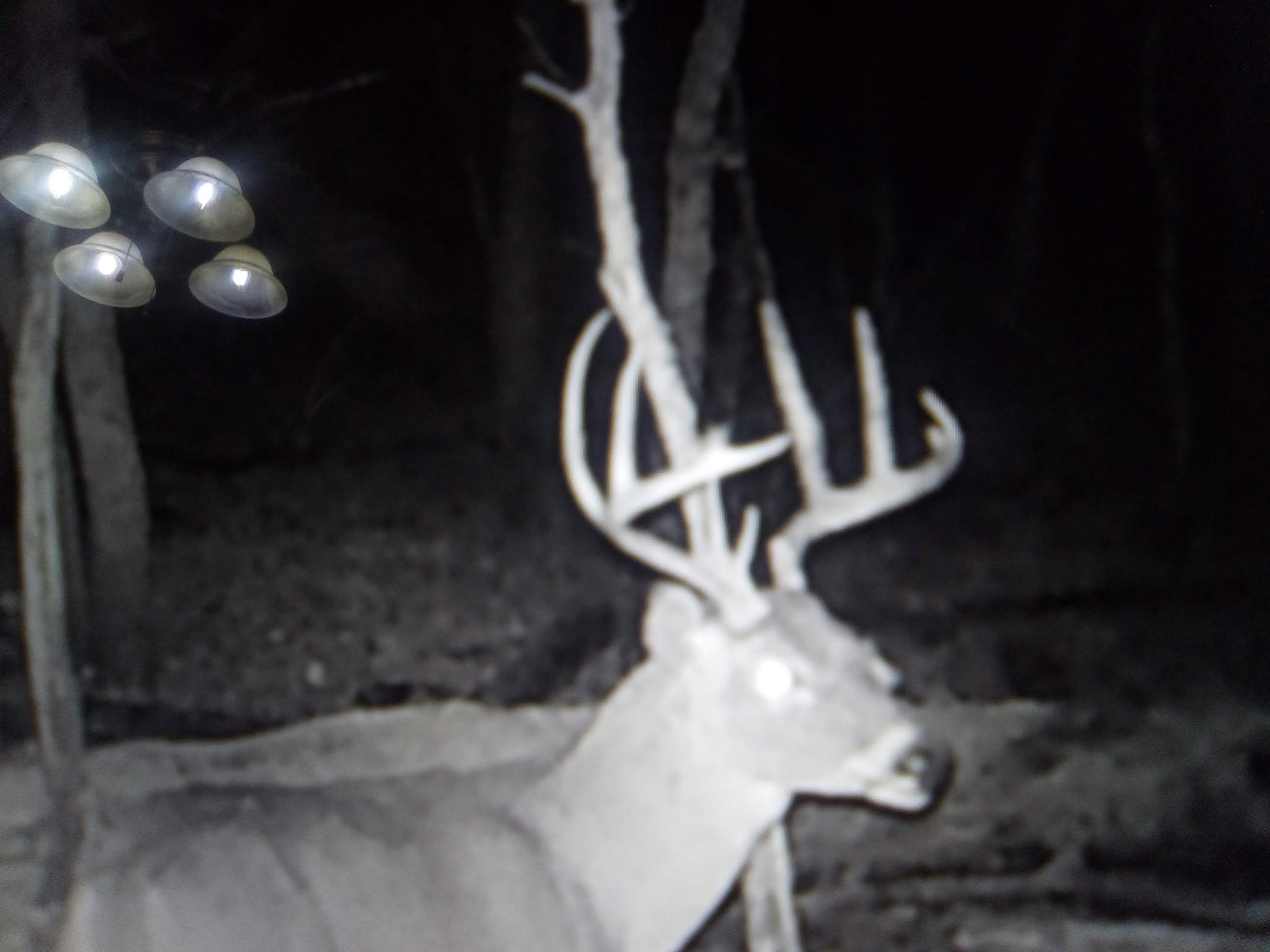 20-Acre Hunter’s Paradise in Southeastern Oklahoma-Prime location & Utilities Ready