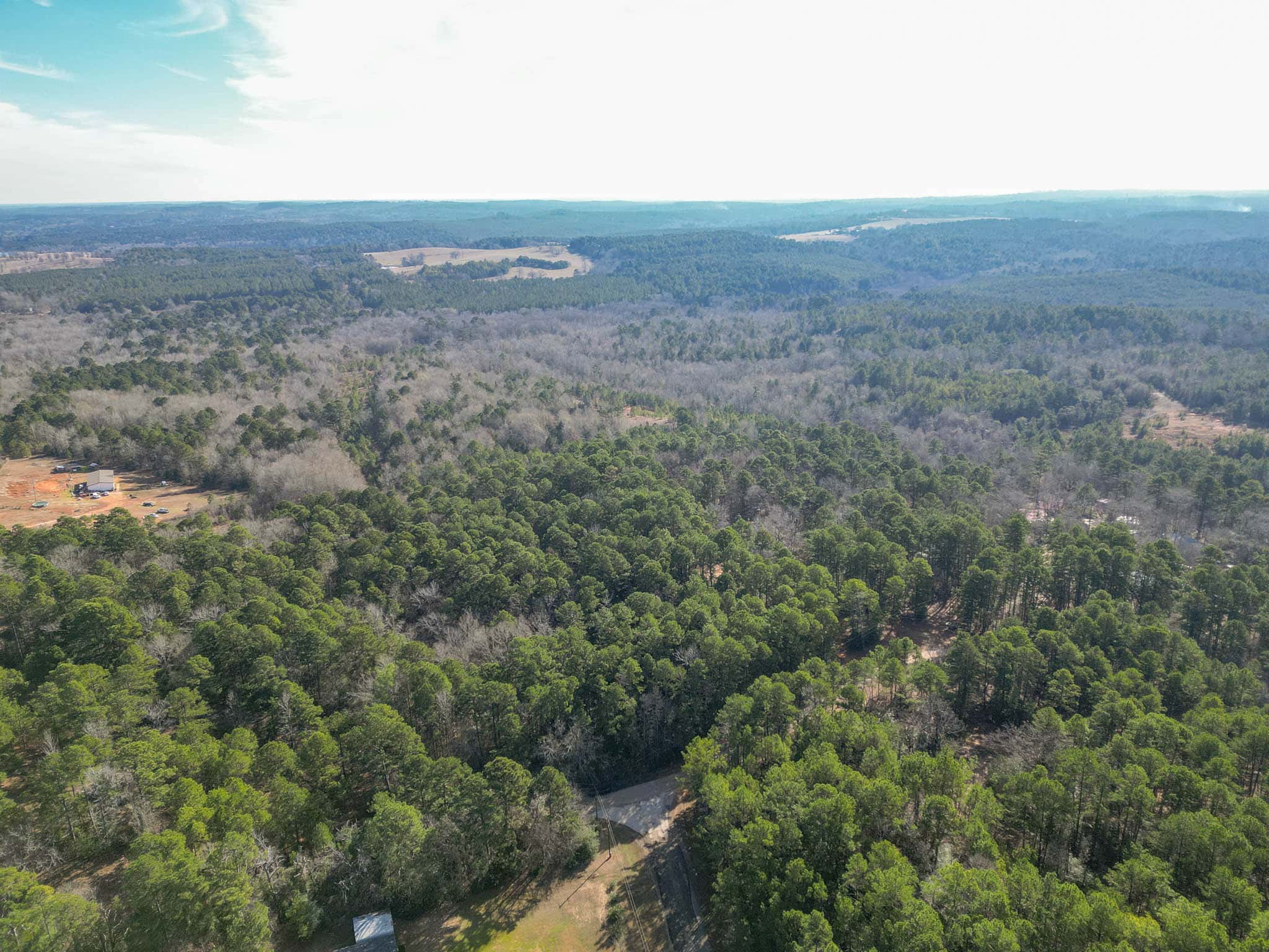 Harrison County, TX Whitetail Paradise