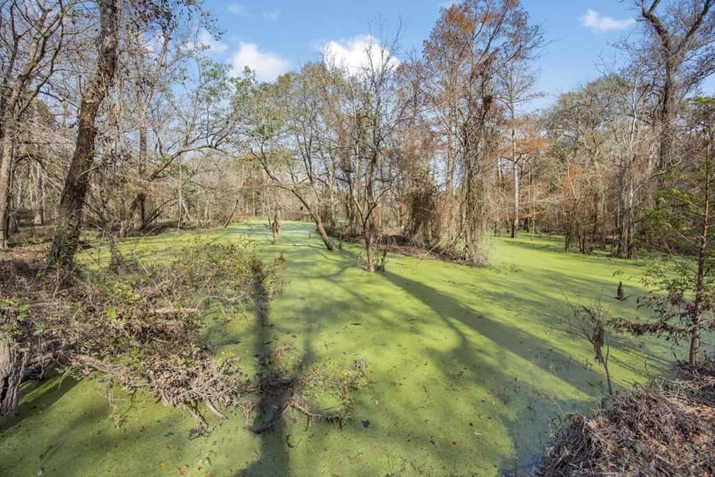 High Fence Hunting, 3 Lodges, 6 Cabins, Acadia Parish, LA