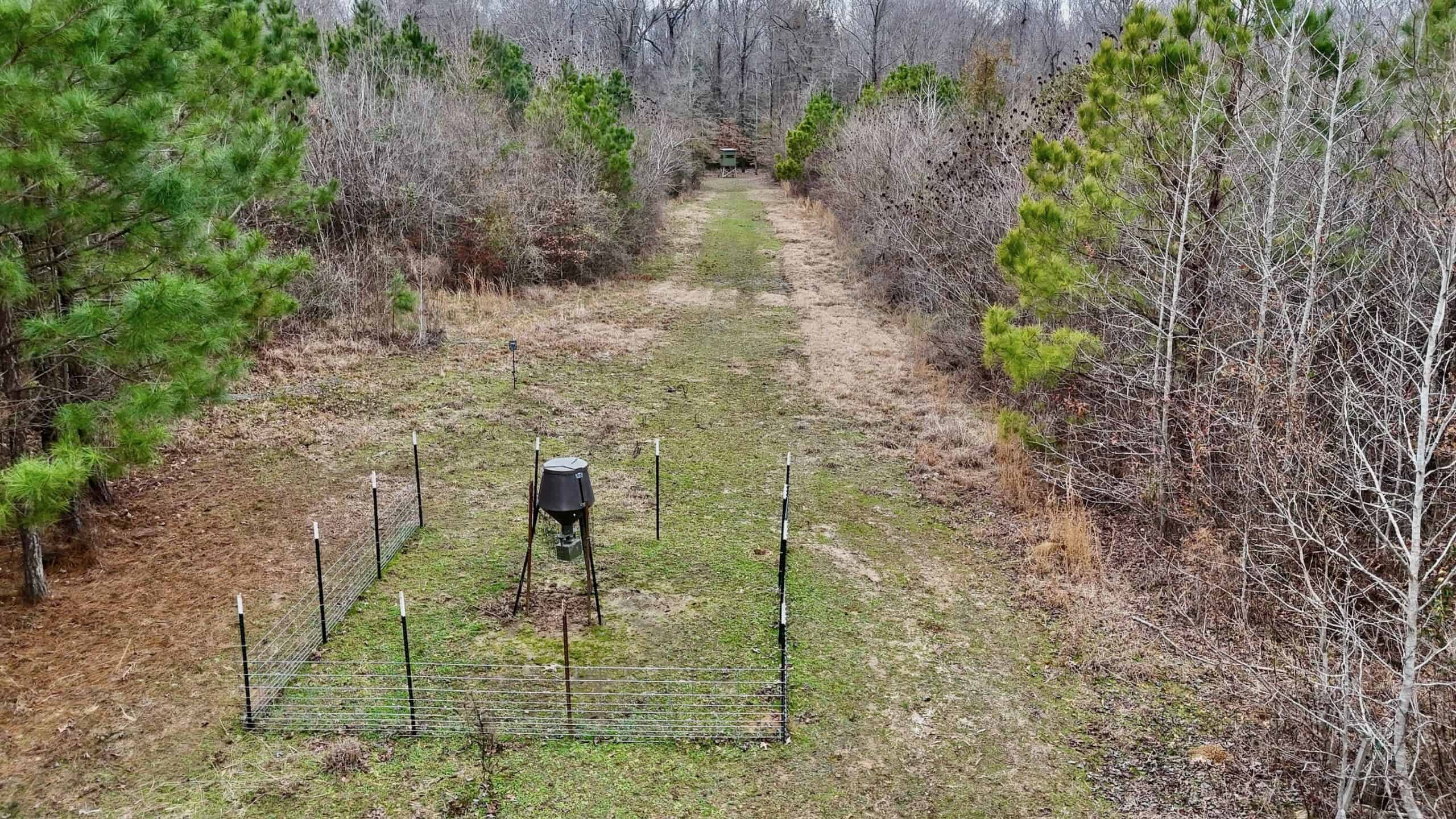 Hunting Property with a Camp and a Great Homesite