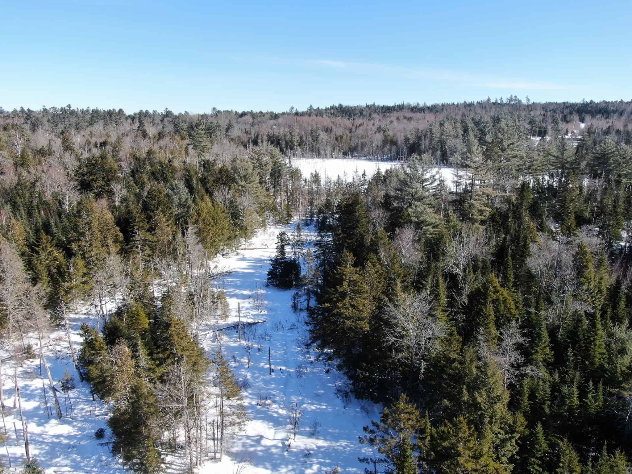 32 Acres with Off-Grid Cabin