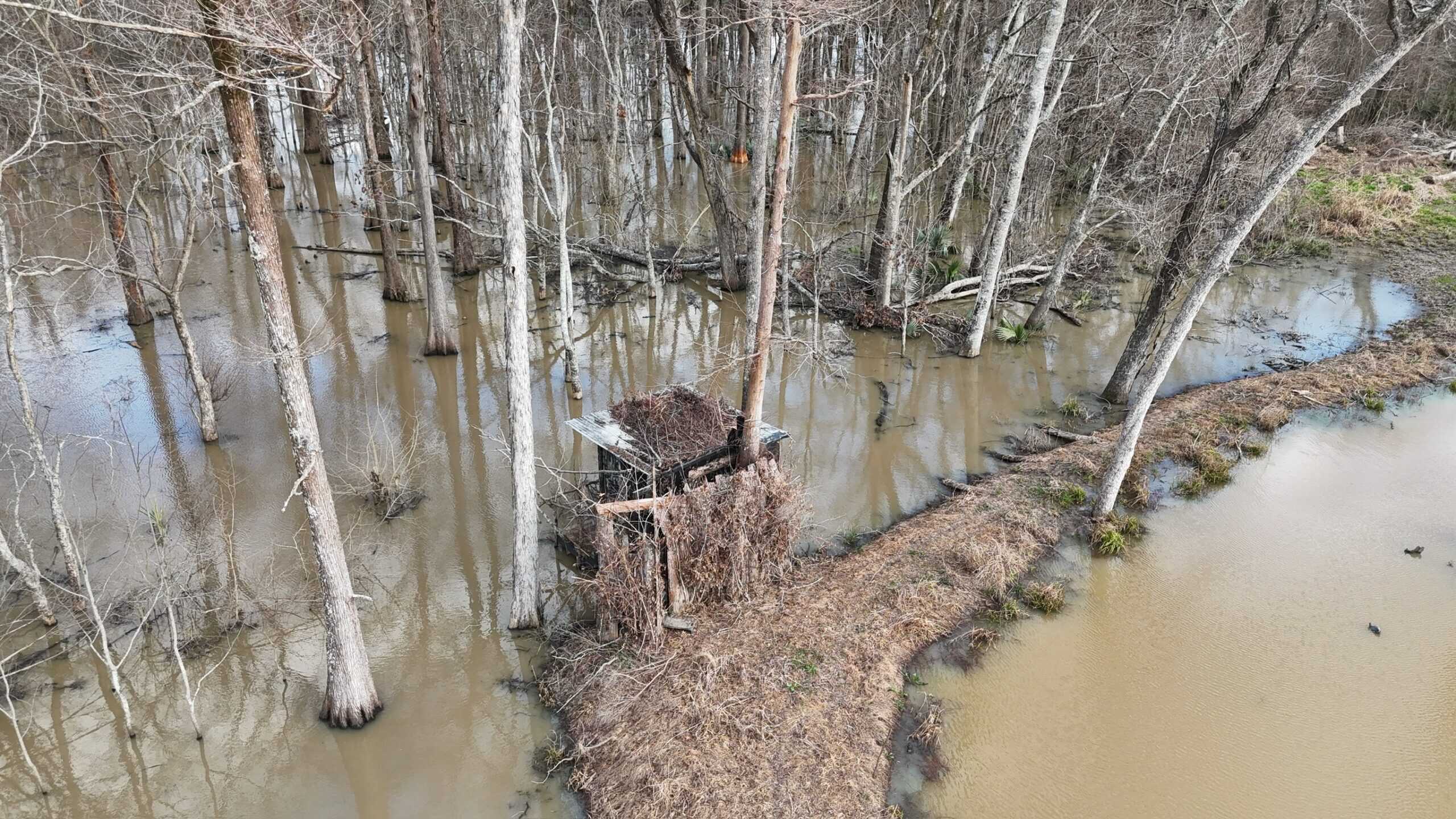 LA Delta Duck and Deer Hunting Property with a Camp