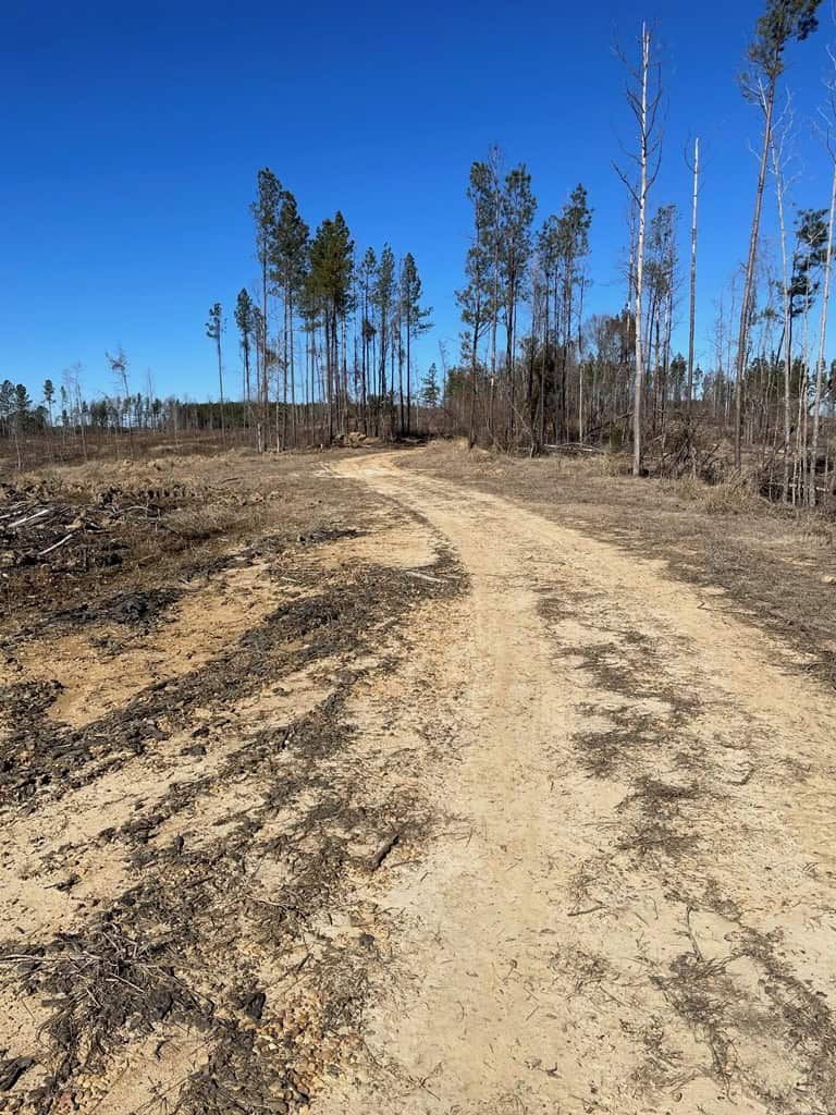 310 Acres Claiborne Hunting Property
