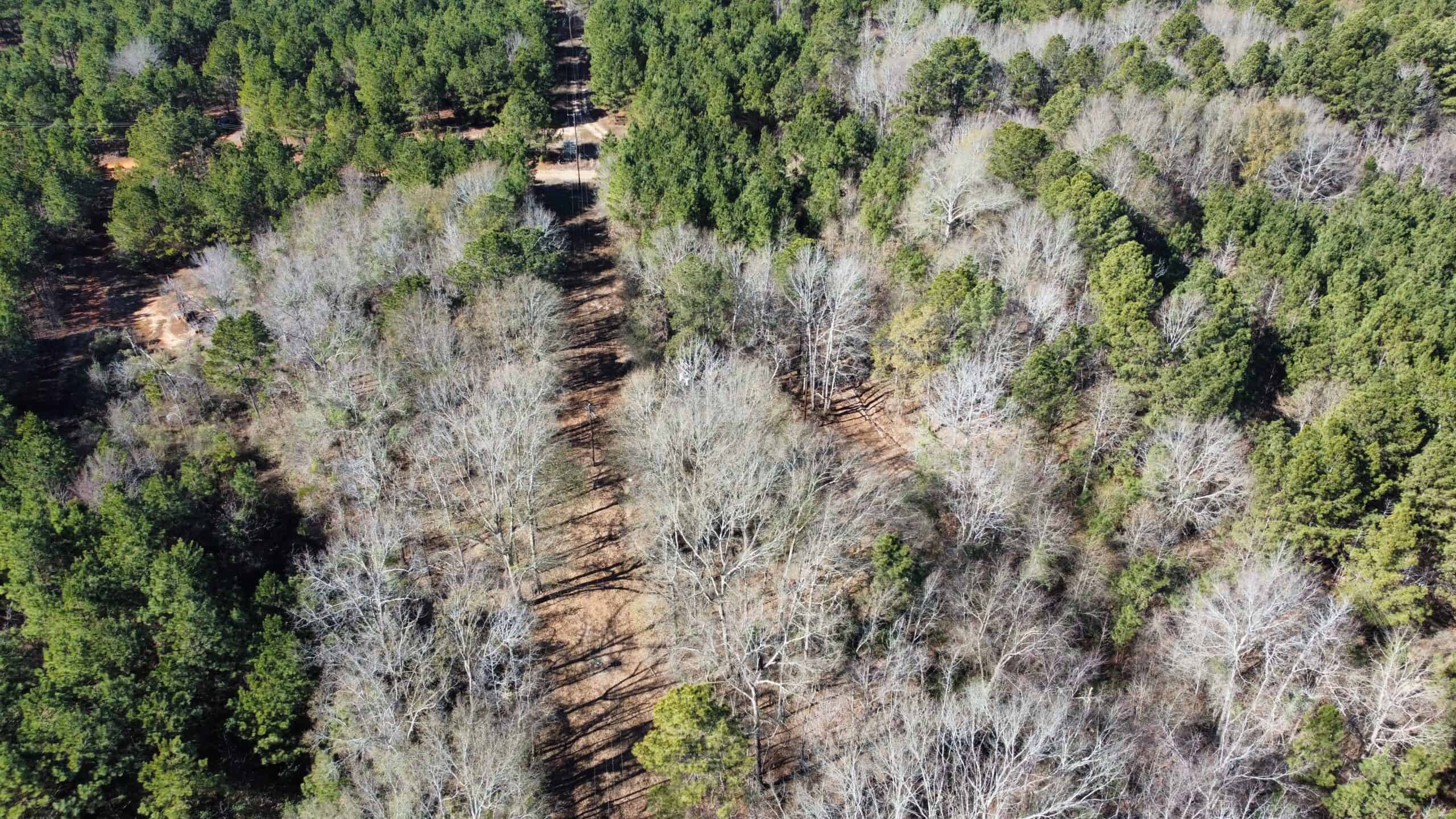 East TX Hunting Land Near Overton TX Rusk County
