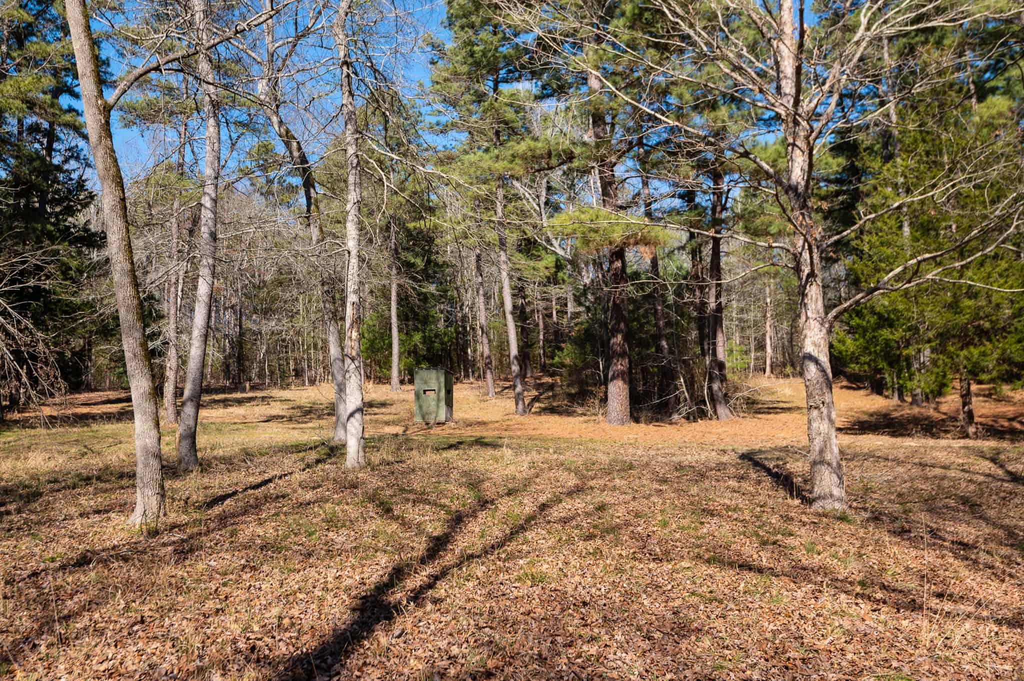 East Texas Hunting Land for sale Sabine River Frontage Gladewater TX
