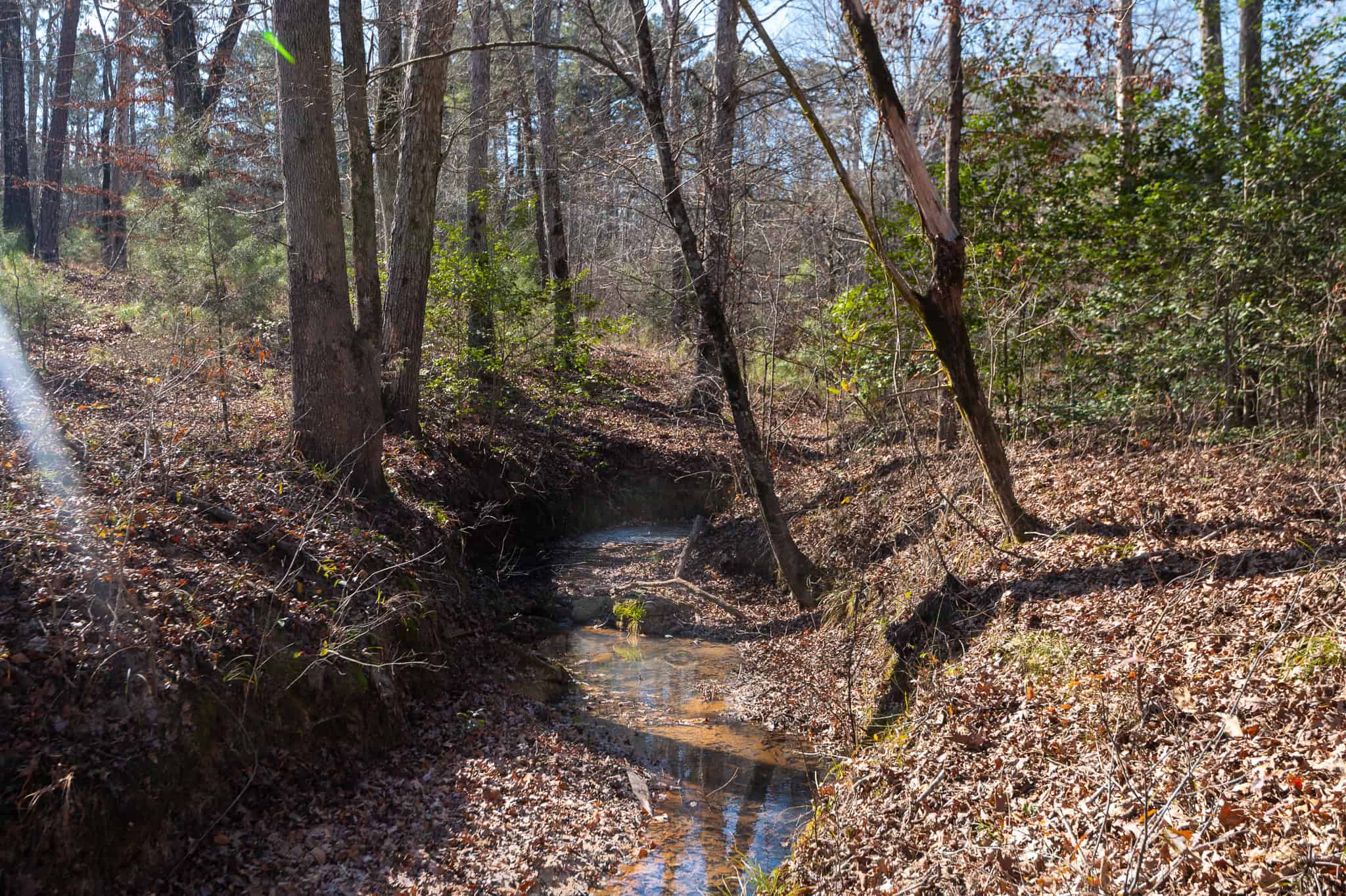 East Texas Hunting Land for sale Sabine River Frontage Gladewater TX