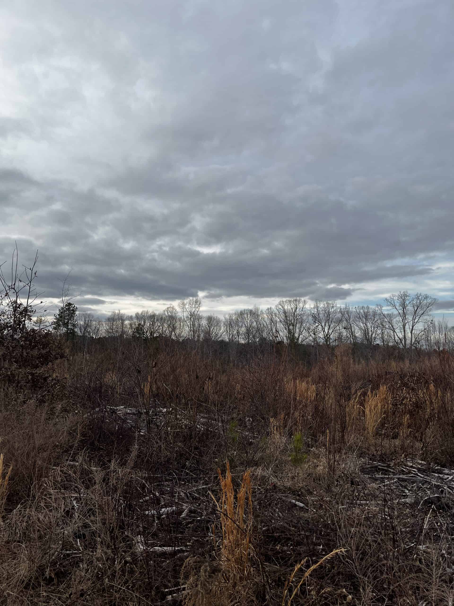 Hunting Land For Sale in Enoree, SC!
