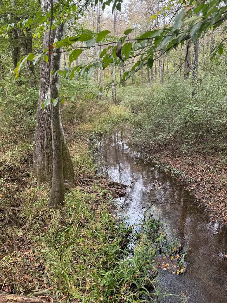 Land on the Tangipahoa River in Pike County, MS