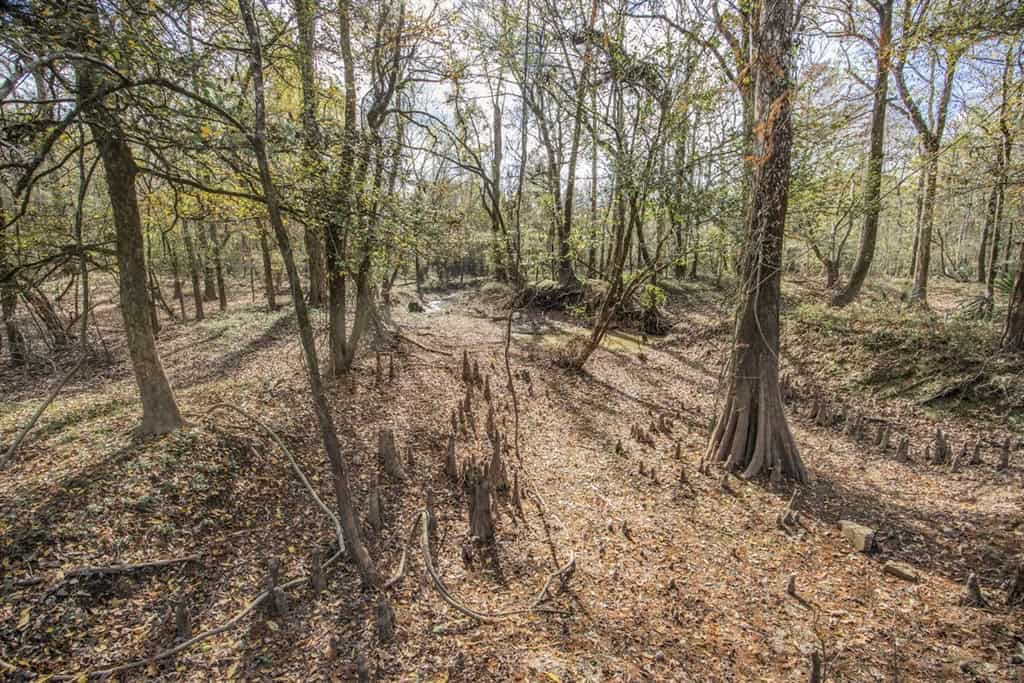 High Fence Hunting, 3 Lodges, 6 Cabins, Acadia Parish, LA