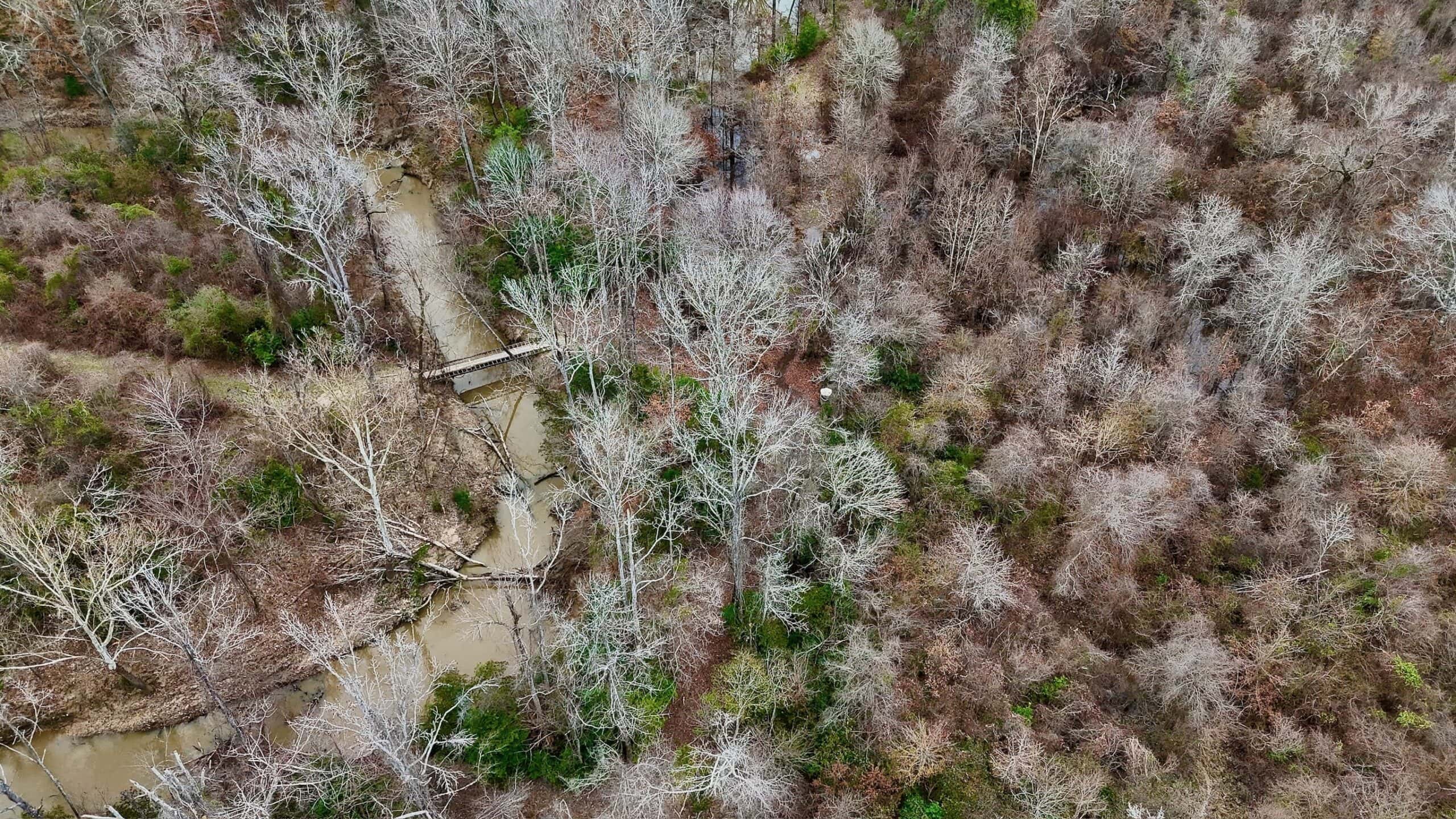 Hunting Property with a Camp and a Great Homesite