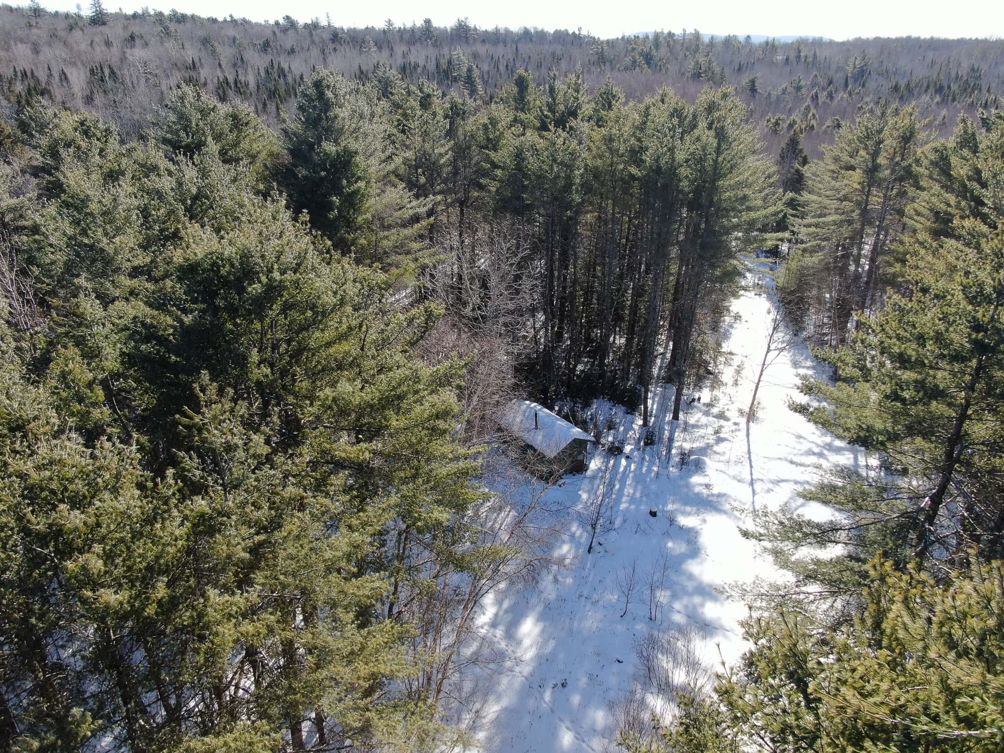 32 Acres with Off-Grid Cabin
