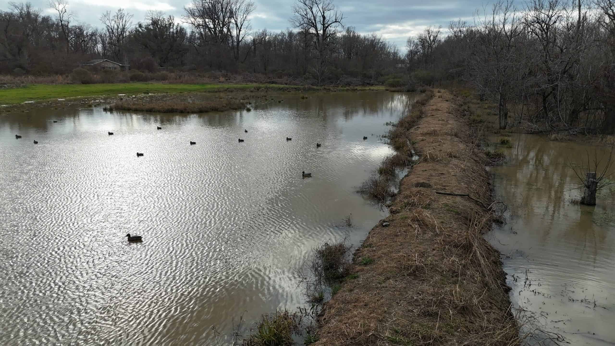LA Delta Duck and Deer Hunting Property with a Camp