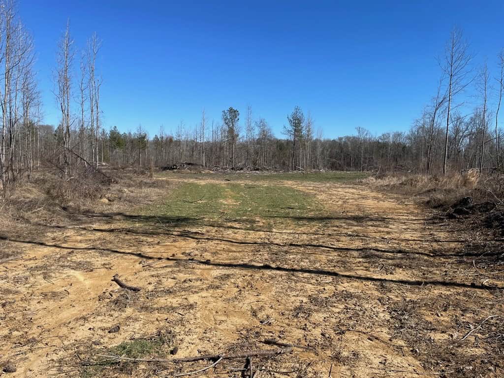 310 Acres Claiborne Hunting Property