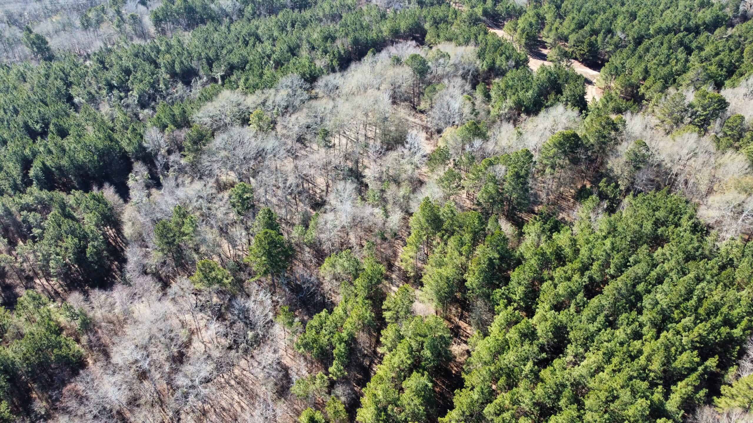 East TX Hunting Land Near Overton TX Rusk County