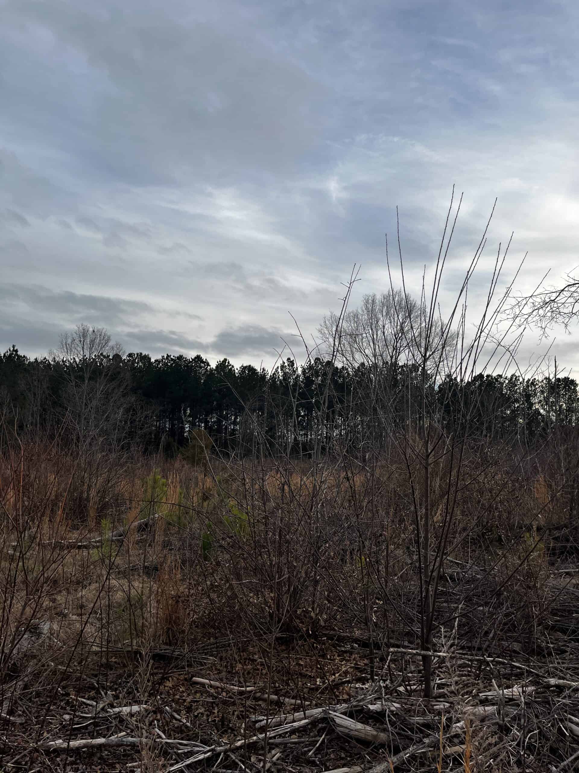 Hunting Land For Sale in Enoree, SC!