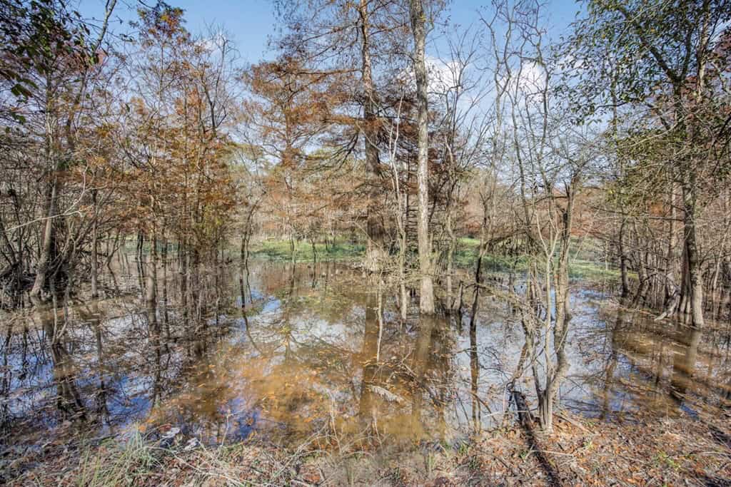 High Fence Hunting, 3 Lodges, 6 Cabins, Acadia Parish, LA