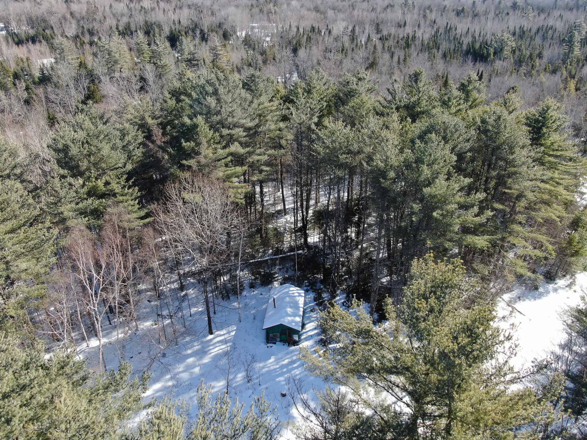 32 Acres with Off-Grid Cabin