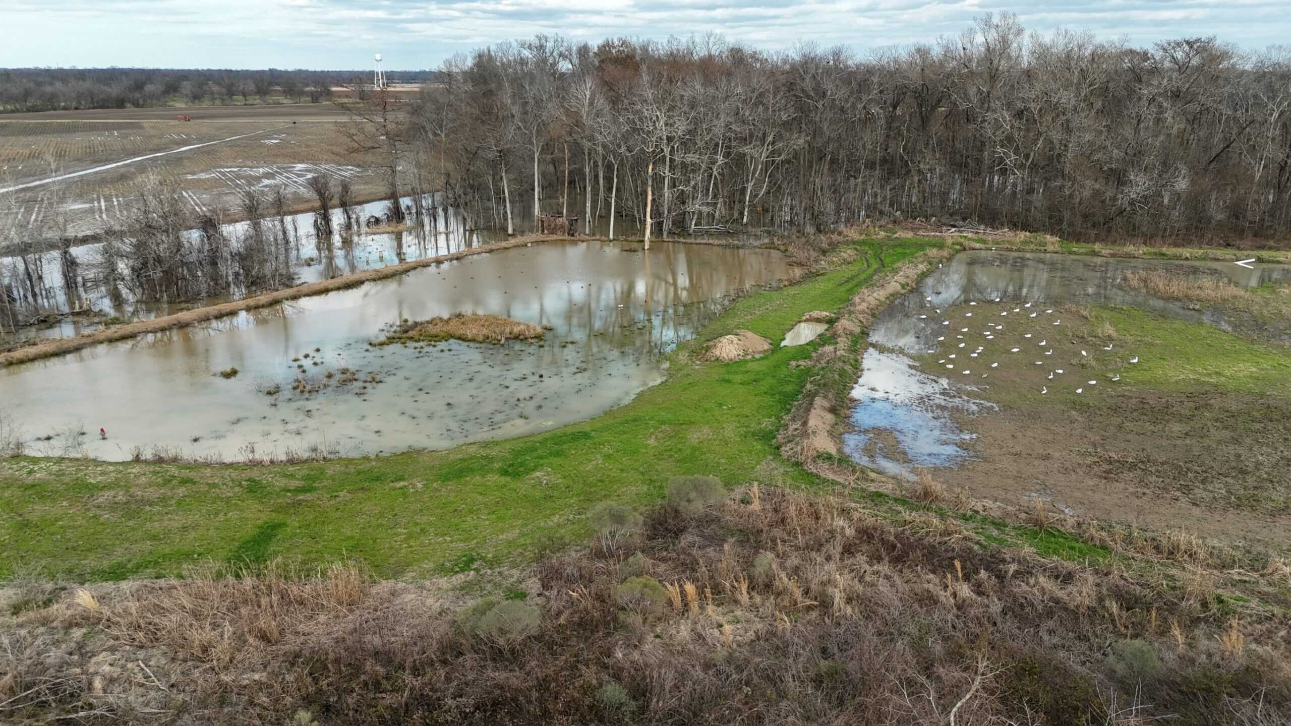 LA Delta Duck and Deer Hunting Property with a Camp