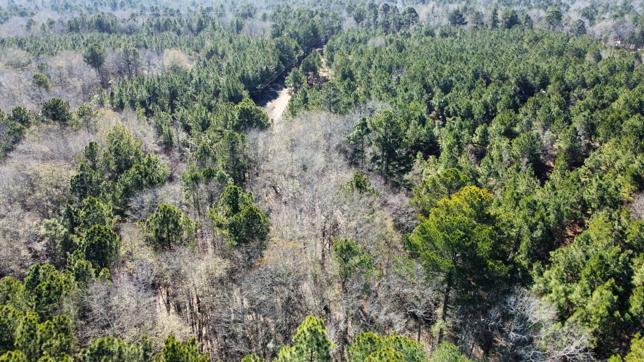 East TX Hunting Land Near Overton TX Rusk County