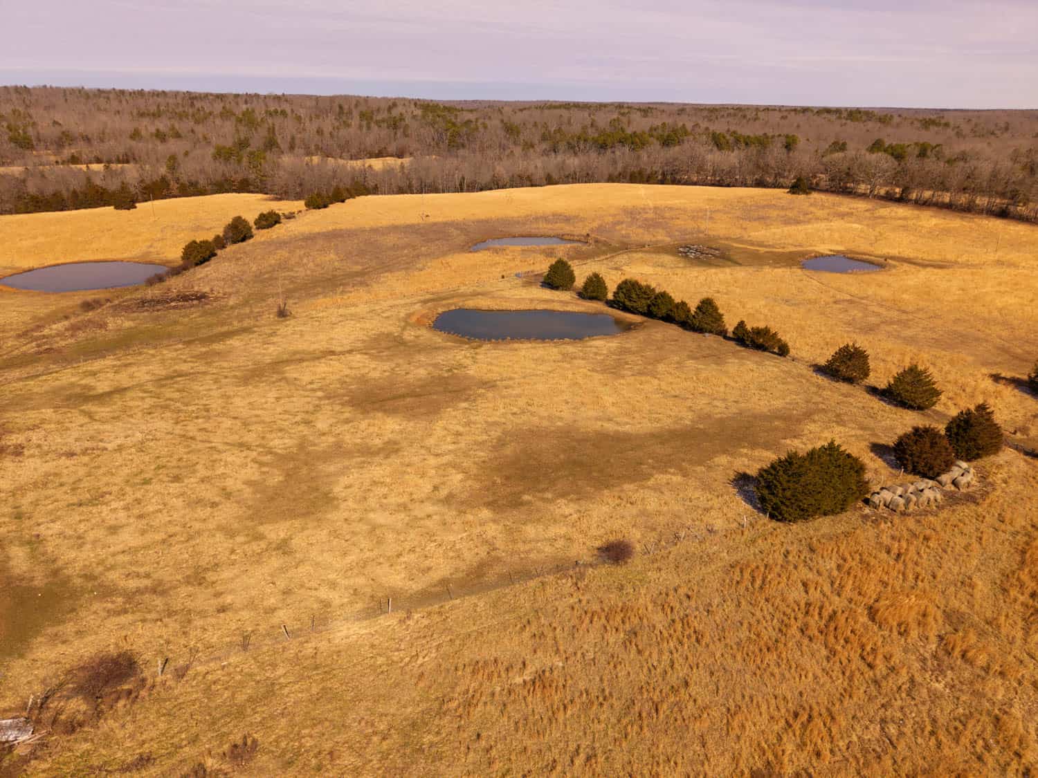 Farmhouse and 82 Acres in the Oregon County Ozarks