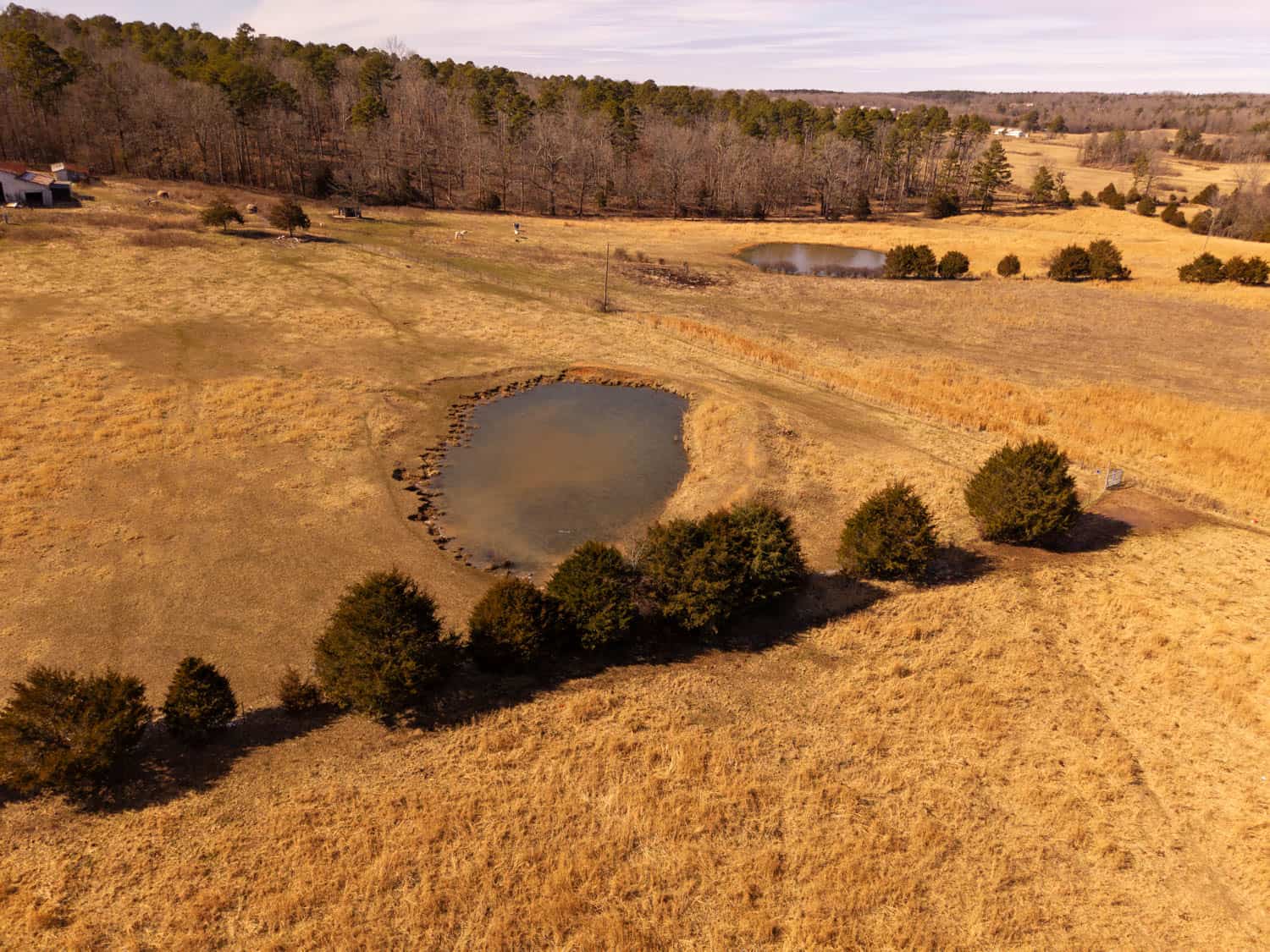 Farmhouse and 82 Acres in the Oregon County Ozarks