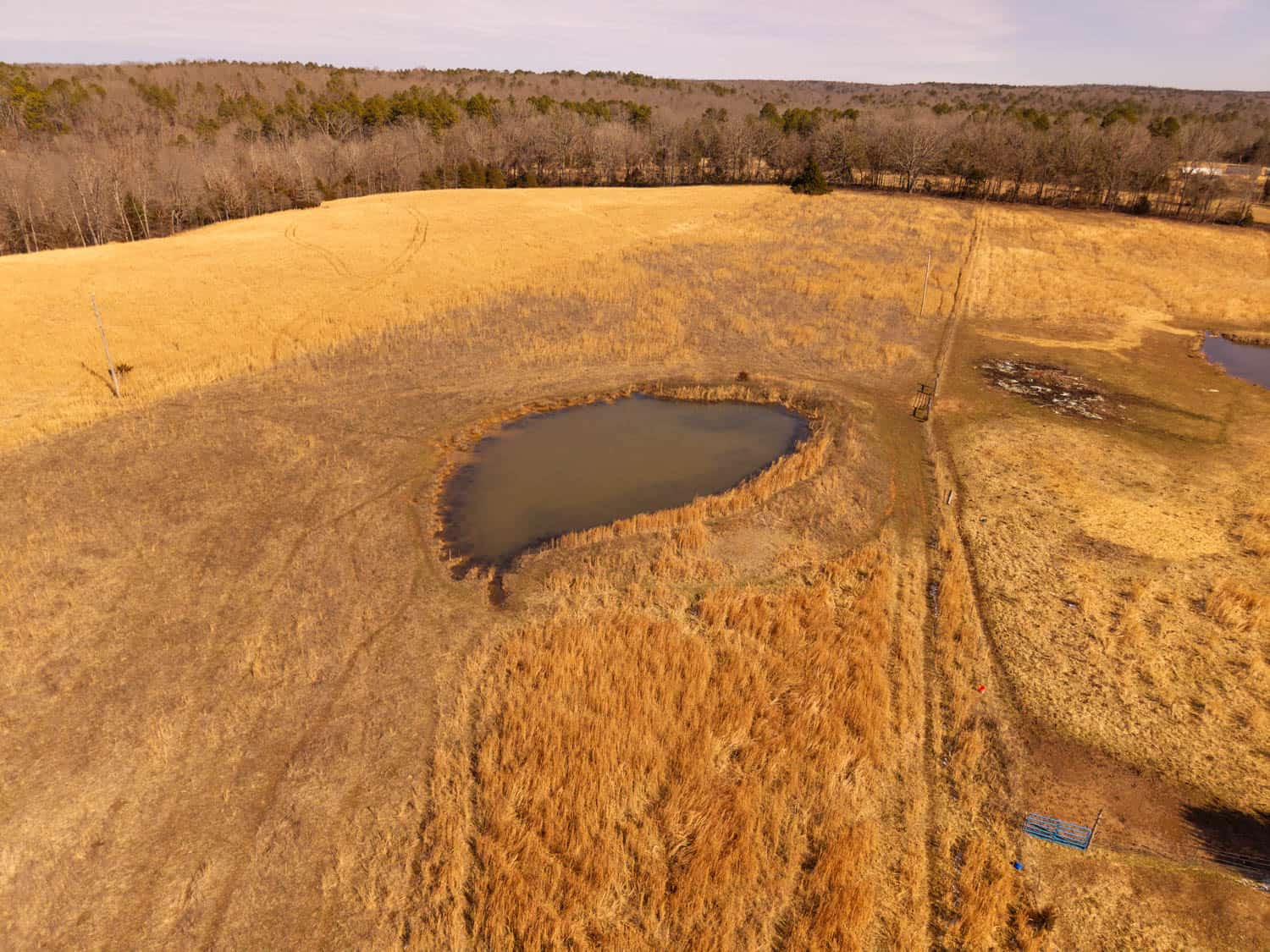 Farmhouse and 82 Acres in the Oregon County Ozarks