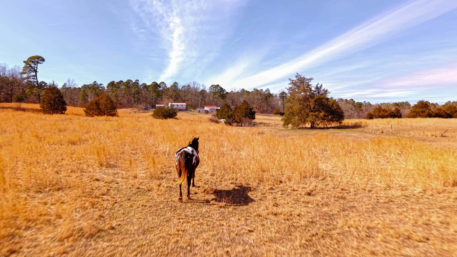 Farmhouse and 82 Acres in the Oregon County Ozarks
