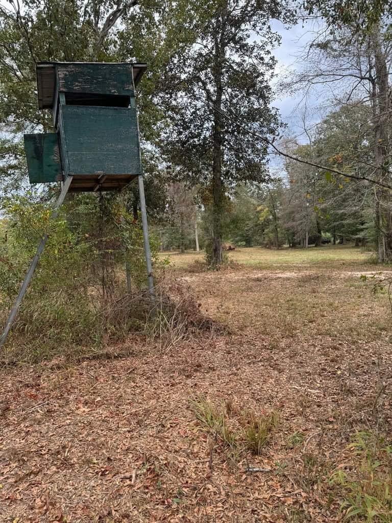 Land on the Tangipahoa River in Pike County, MS