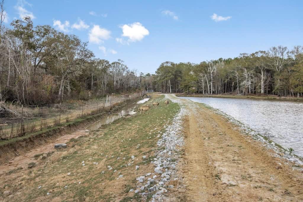 High Fence Hunting, 3 Lodges, 6 Cabins, Acadia Parish, LA