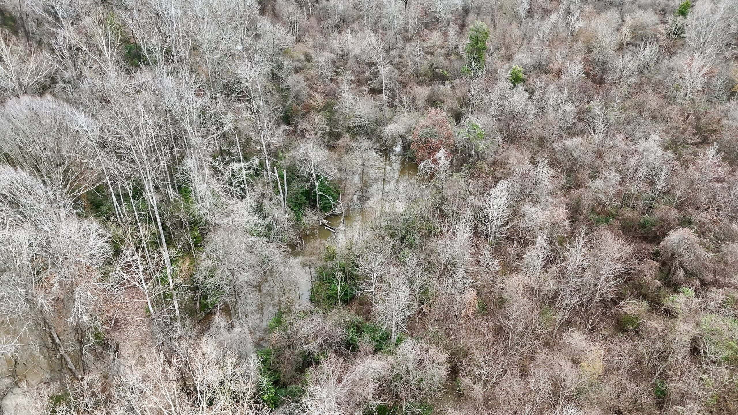 Hunting Property with a Camp and a Great Homesite