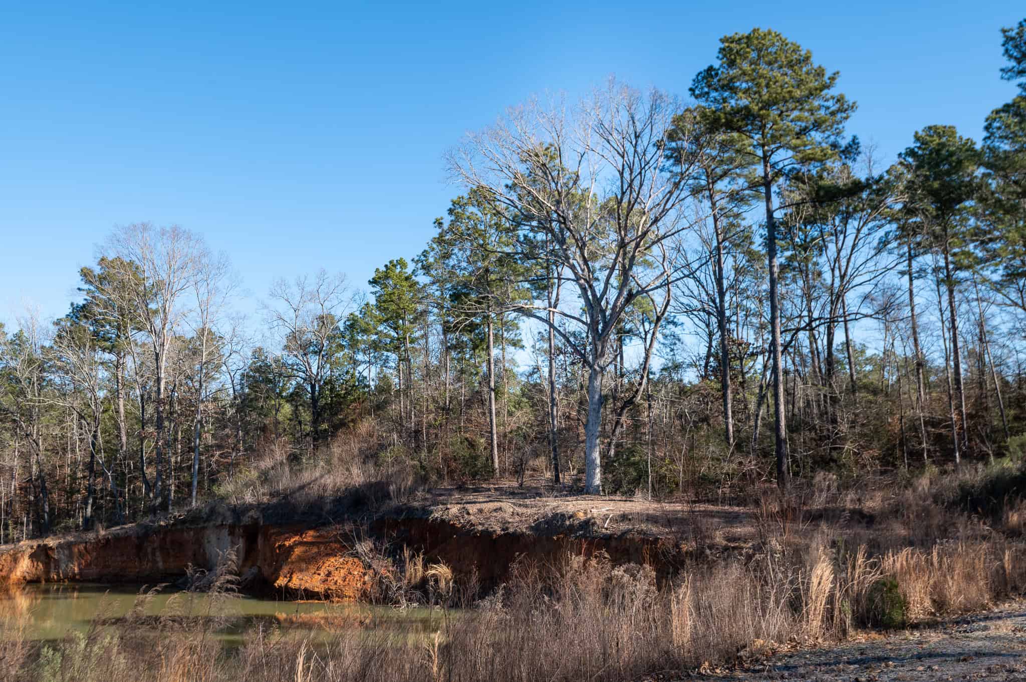 Texas Hunting Land with Barndo near Diana East of Dallas