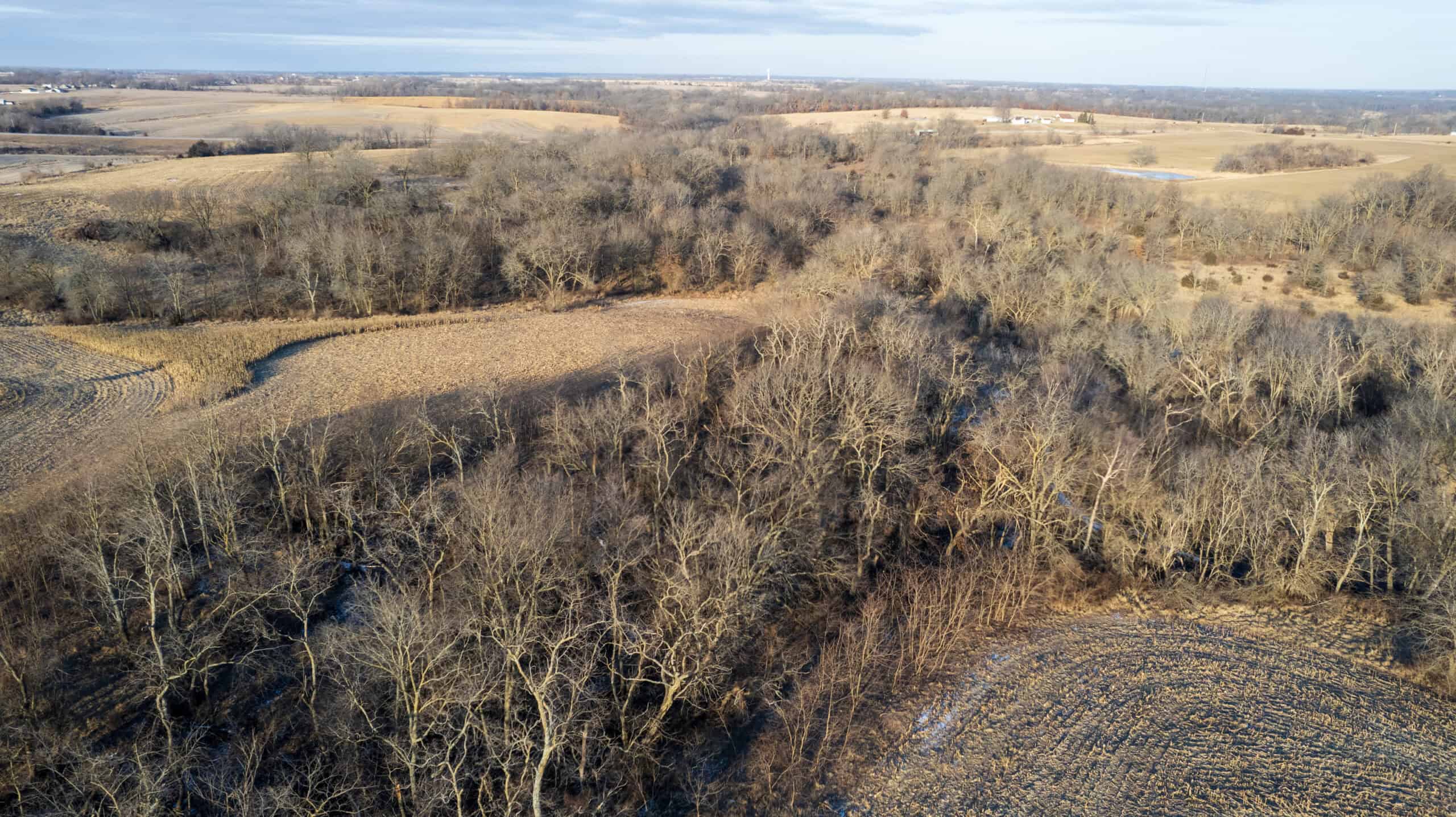 Appanoose County 158+/- Acres – Hunting, Income & Building Potential