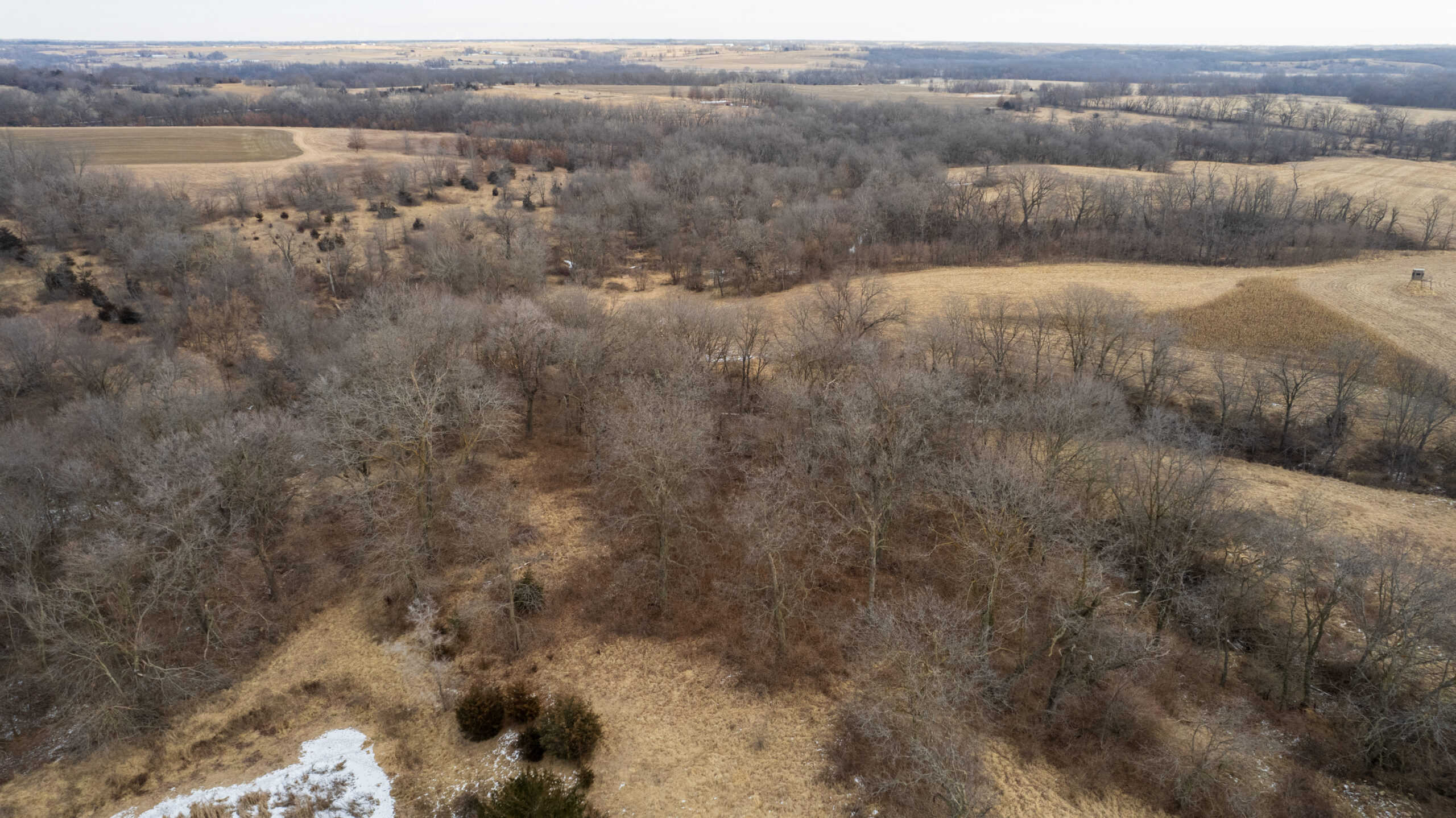 Appanoose County 158+/- Acres – Hunting, Income & Building Potential