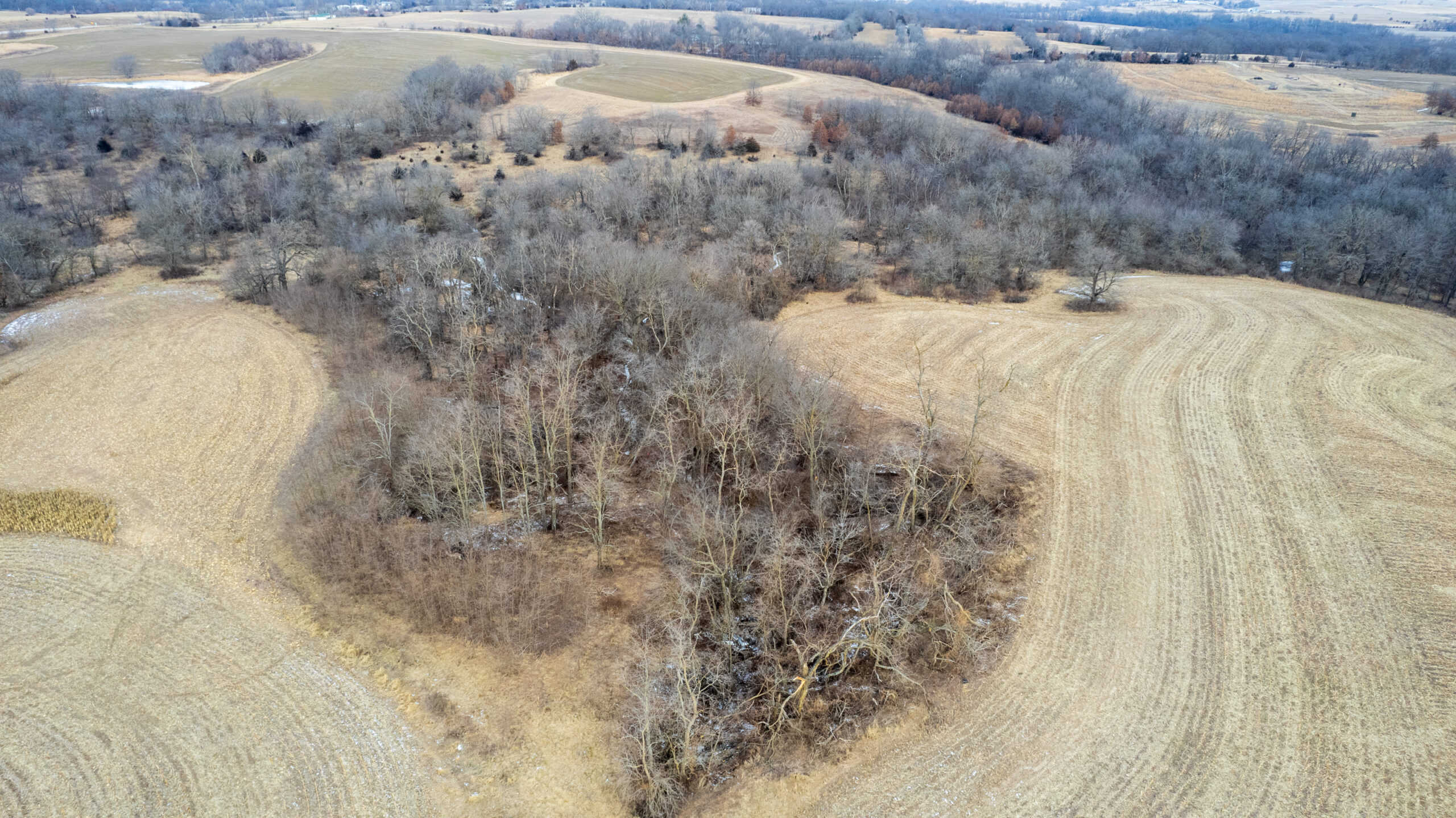 Appanoose County 158+/- Acres – Hunting, Income & Building Potential