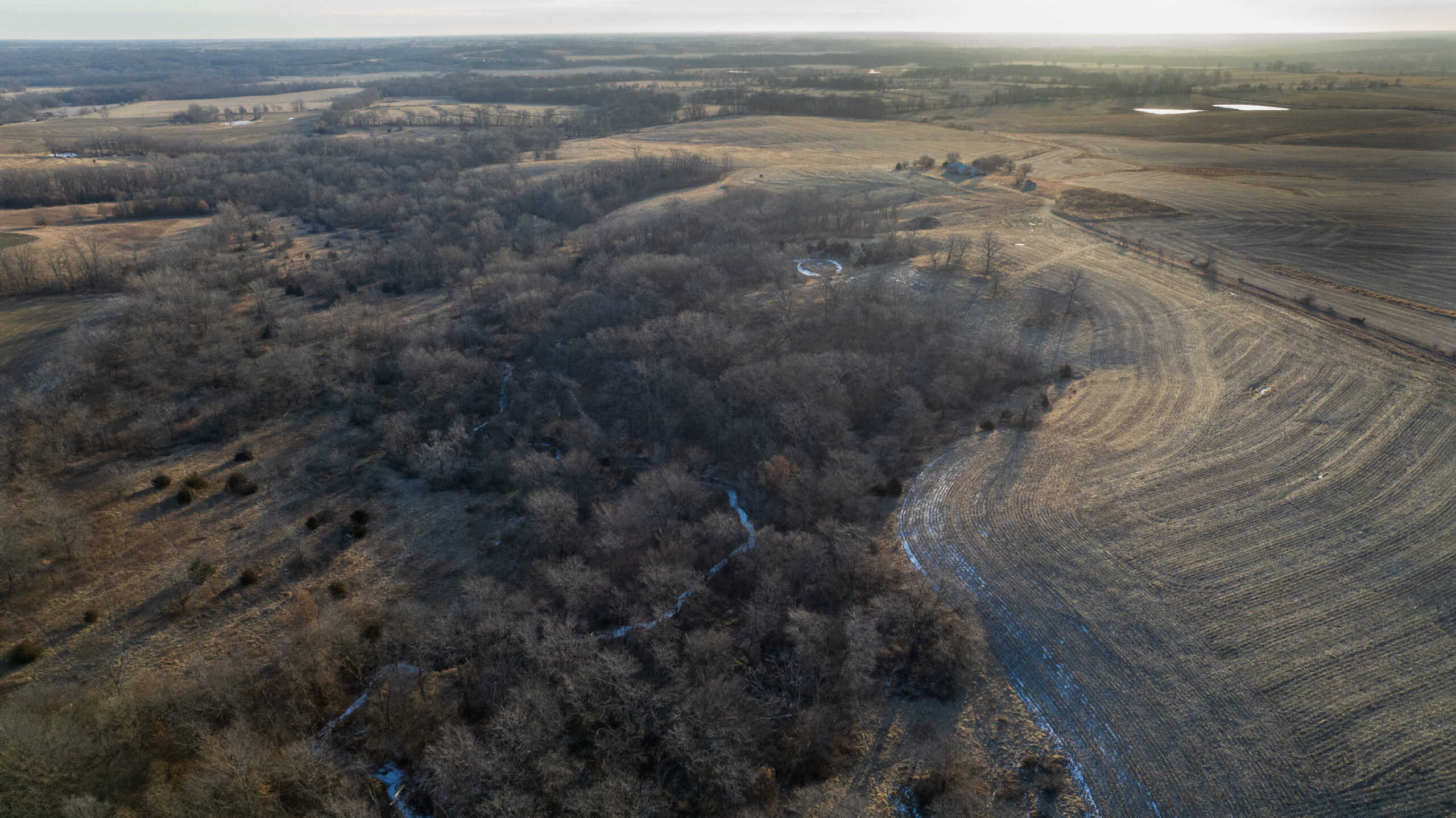 Appanoose County 158+/- Acres – Hunting, Income & Building Potential
