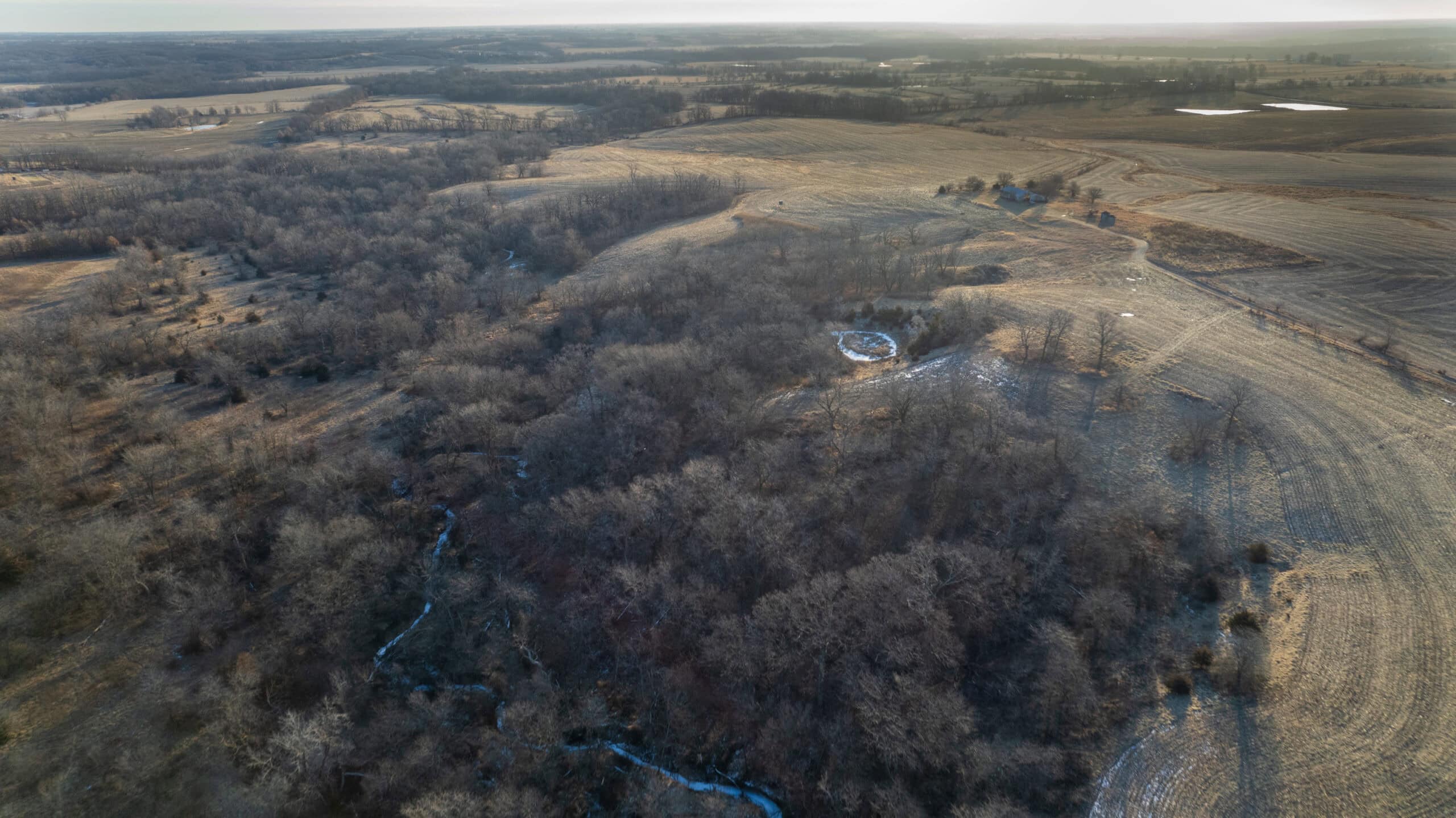 Appanoose County 158+/- Acres – Hunting, Income & Building Potential
