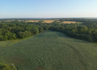 Appanoose County 158+/- Acres – Hunting, Income & Building Potential