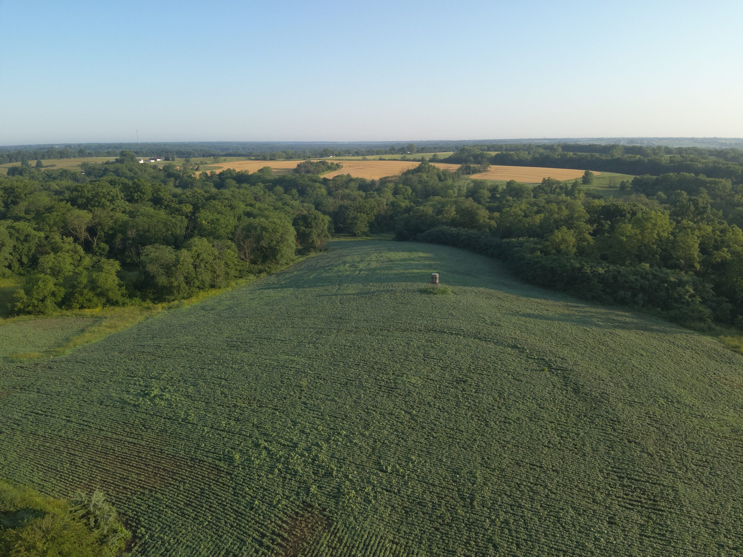 Appanoose County 158+/- Acres – Hunting, Income & Building Potential