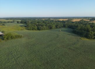 Appanoose County 158+/- Acres – Hunting, Income & Building Potential