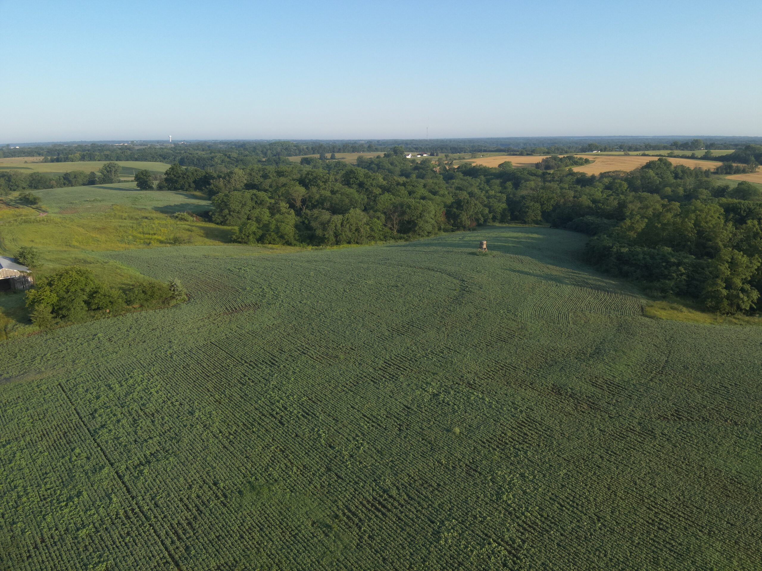 Appanoose County 158+/- Acres – Hunting, Income & Building Potential