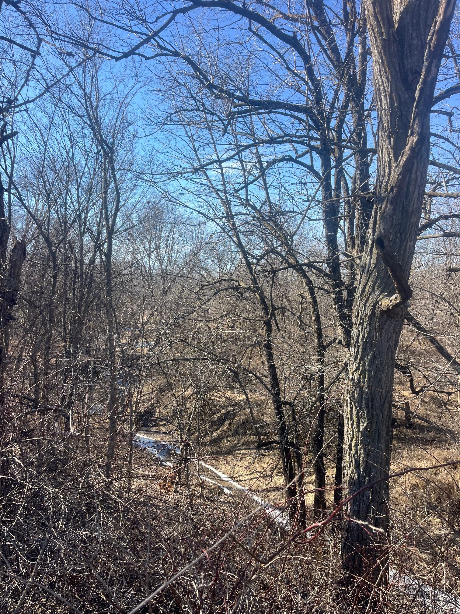 Appanoose County 158+/- Acres – Hunting, Income & Building Potential
