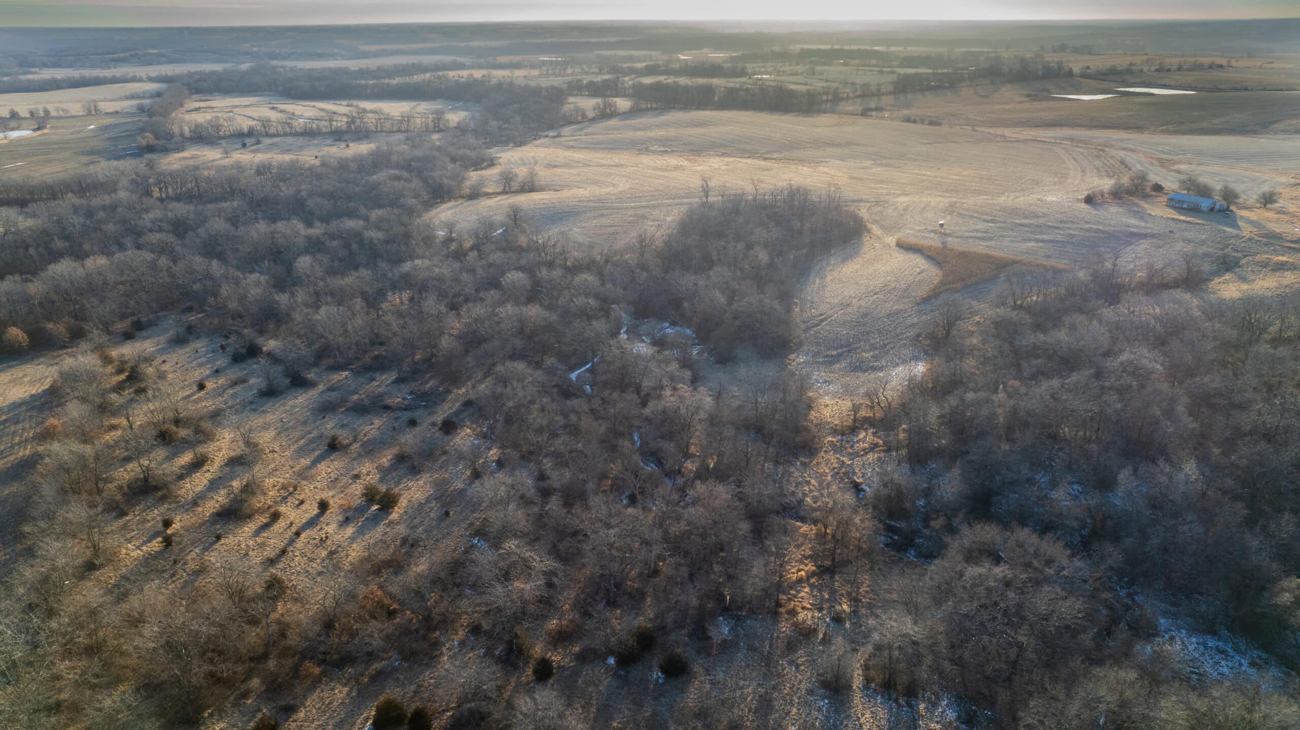 Appanoose County 158+/- Acres – Hunting, Income & Building Potential