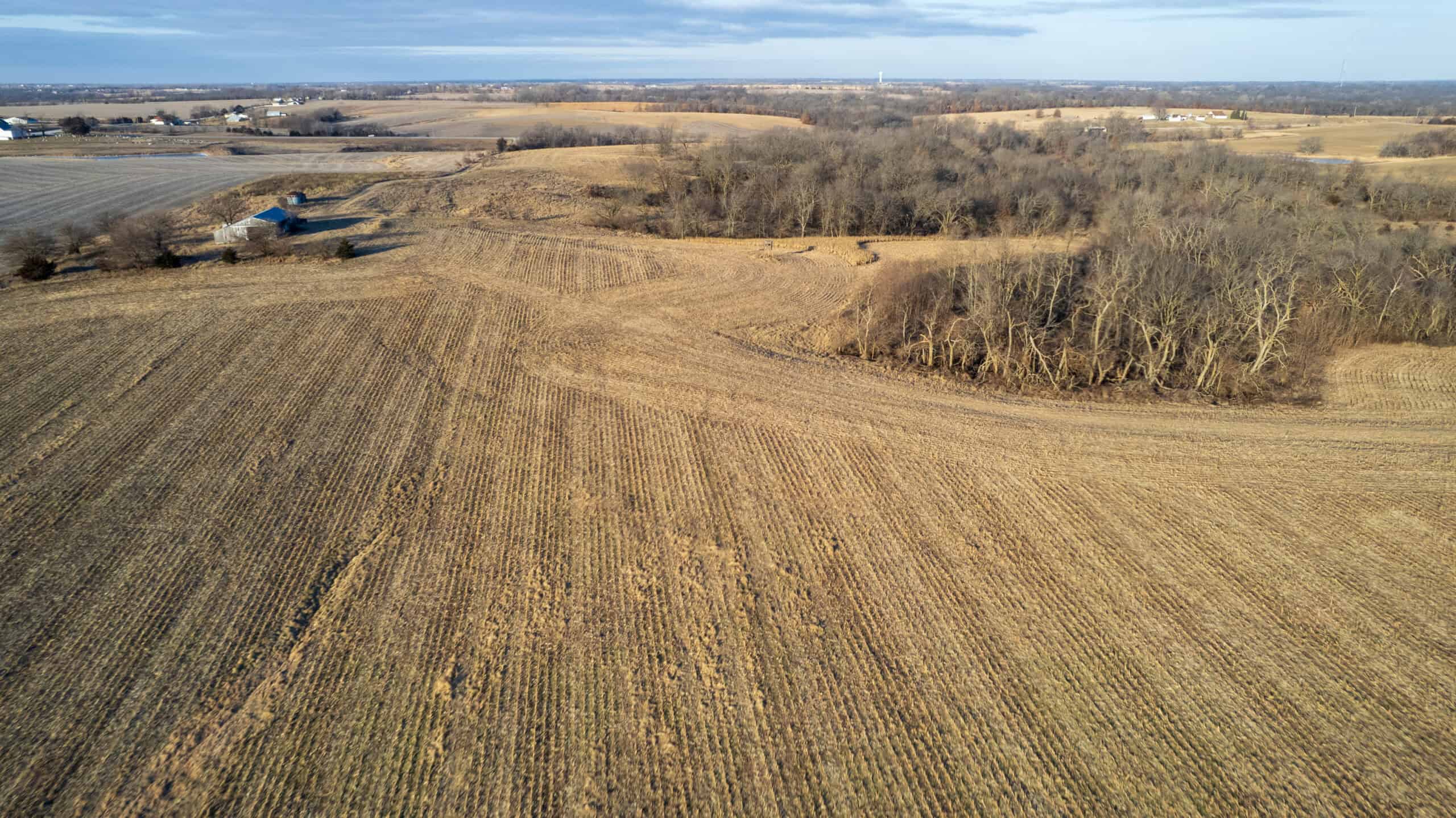 Appanoose County 158+/- Acres – Hunting, Income & Building Potential