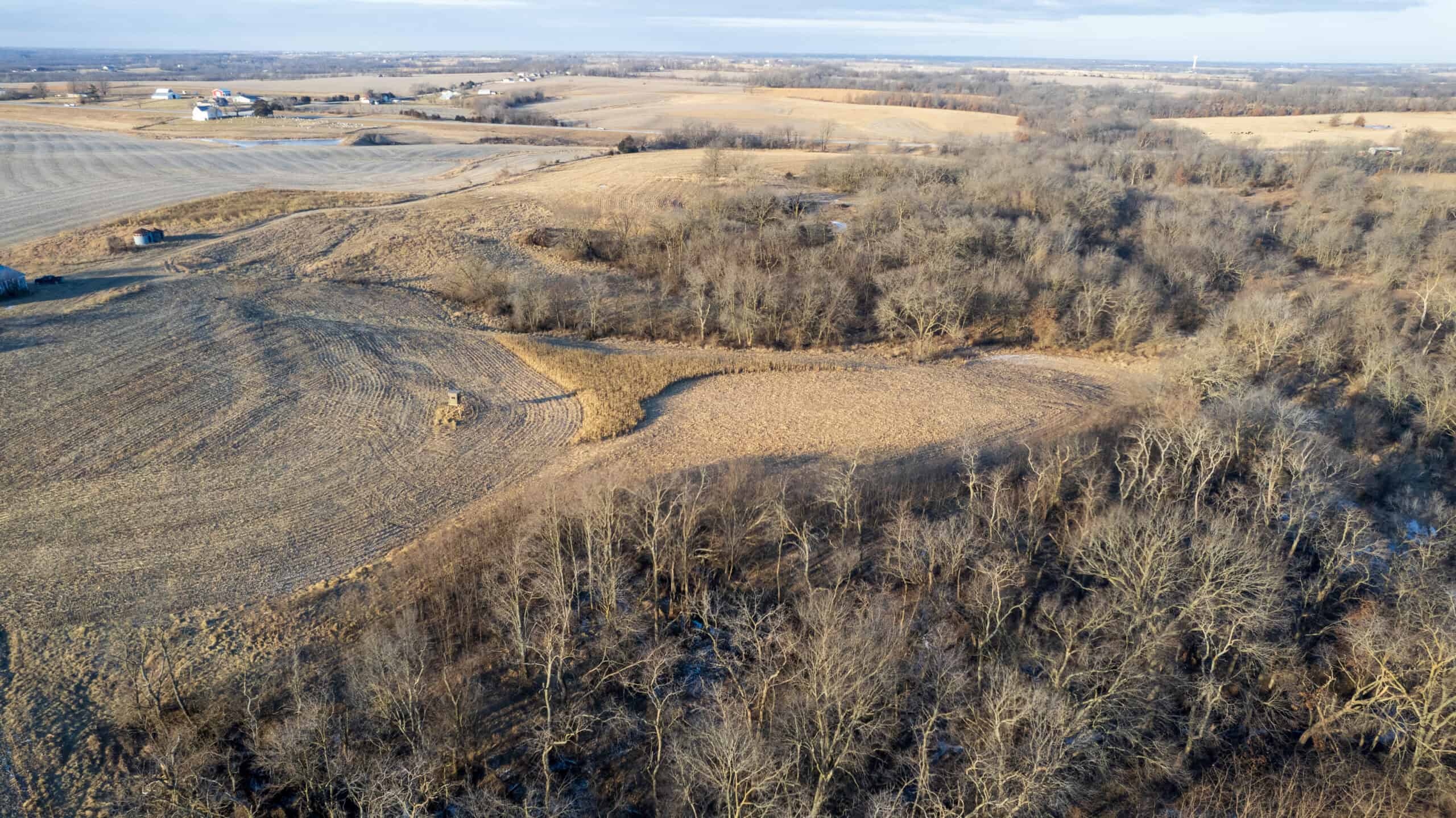 Appanoose County 158+/- Acres – Hunting, Income & Building Potential