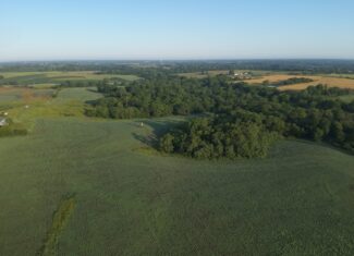 Appanoose County 158+/- Acres – Hunting, Income & Building Potential